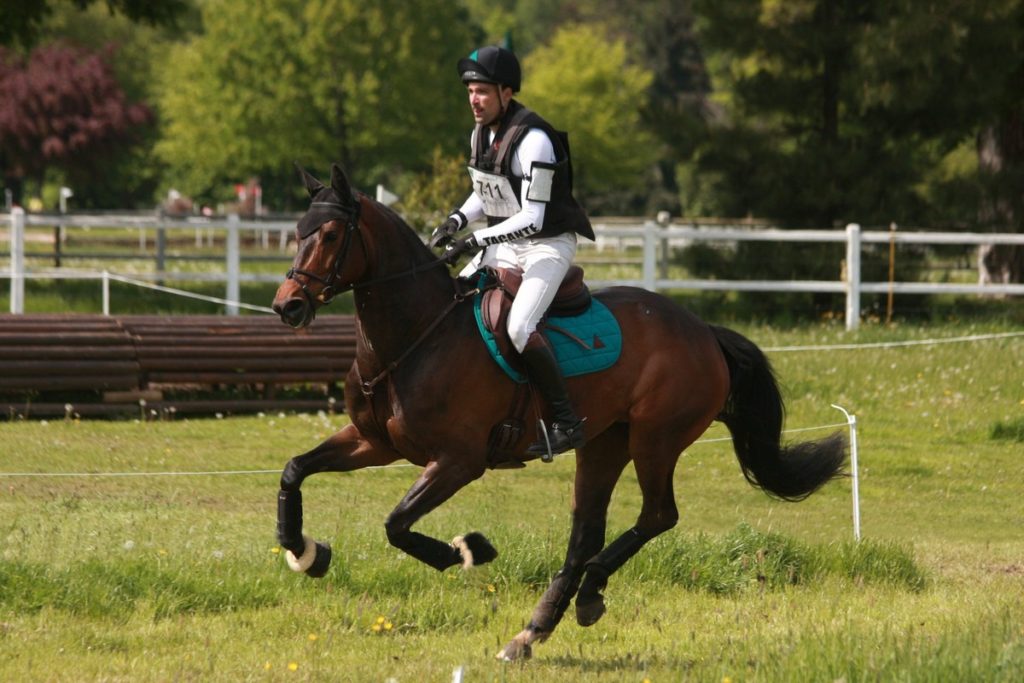 Ecurie-raphael-cochet-concours-complet-equitation-la-louviere-difda-du-very