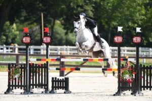 Ecurie-raphael-cochet-concours-complet-equitation-la-louviere-sherazad-de-louvière