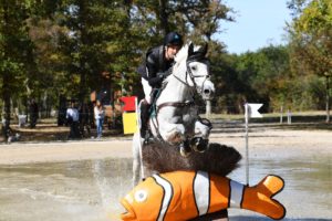 Ecurie-raphael-cochet-concours-complet-equitation-la-louviere-sherazad-de-louvière-chevaux