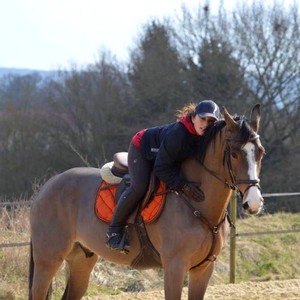 Ecurie-raphael-cochet-concours-complet-equitation-la-louviere-wendy-phung-equipe