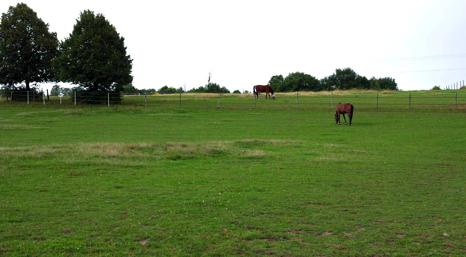 Ecurie-raphael-cochet-concours-complet-equitation-la-louviere-installations-paddock