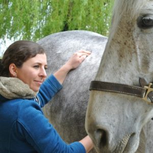 Ecurie-raphael-cochet-concours-complet-equitation-la-louviere-emeline-moutiez