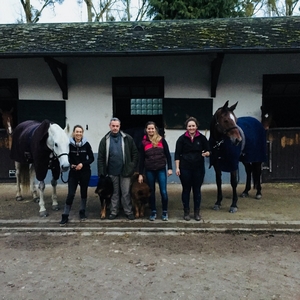 Ecurie-raphael-cochet-concours-complet-equitation-la-louviere-la-belletiere