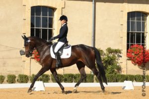 Ecurie-raphael-cochet-concours-complet-equitation-la-louviere-difda-du-very