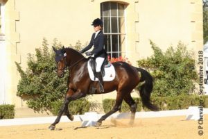 Ecurie-raphael-cochet-concours-complet-equitation-la-louviere-difda-du-very