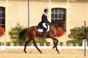 Ecurie-raphael-cochet-concours-complet-equitation-la-louviere-drako-de-coat-loach