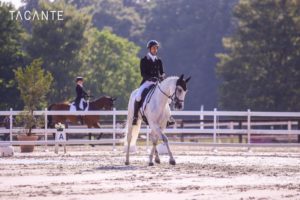 Ecurie-raphael-cochet-concours-complet-equitation-la-louviere-sherazad-de-louviere-tacante