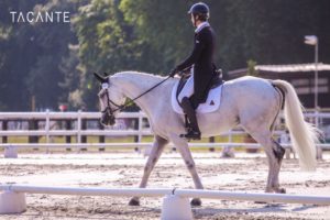 Ecurie-raphael-cochet-concours-complet-equitation-la-louviere-sherazad-de-louviere-tacante