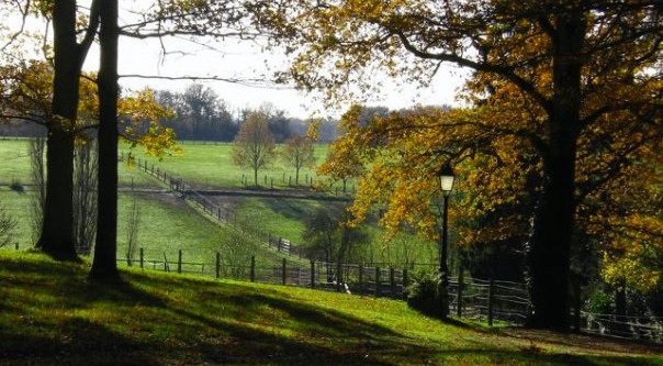 rapahel-cochet-eventing-cavalier-concours-complet-ecurie-de-la-louvière-pension-box-paddock-78-28-propriétaire-paddock